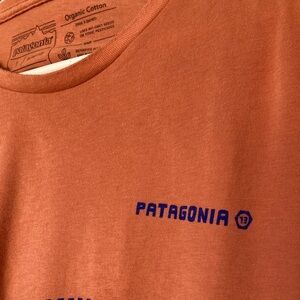 Patagonia Organic Cotton Tee (L)